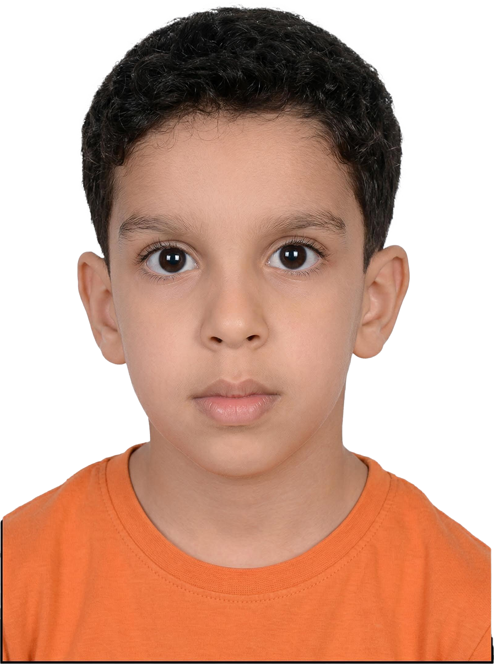 حامد 